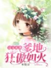 双宝来袭:爹地狂傲如火