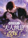 时总别作了,夫人携崽改嫁了